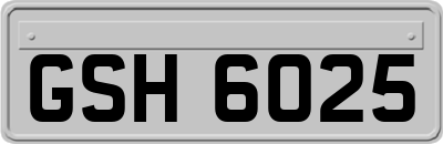 GSH6025