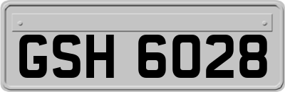GSH6028