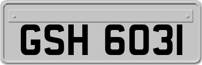 GSH6031