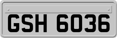 GSH6036