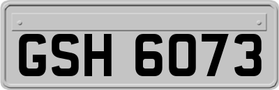 GSH6073