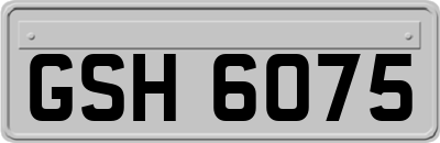 GSH6075