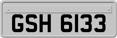 GSH6133