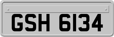 GSH6134