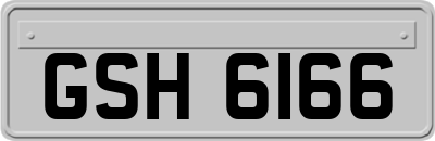 GSH6166