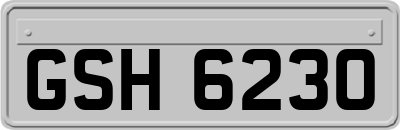 GSH6230