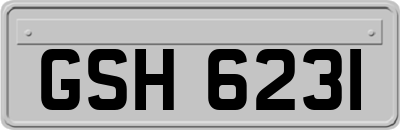 GSH6231