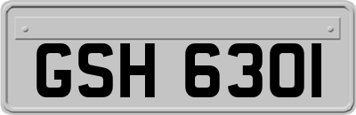 GSH6301