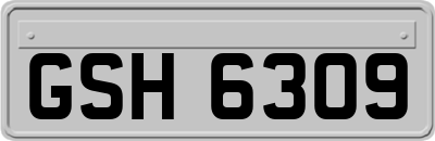 GSH6309