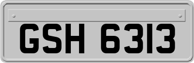 GSH6313