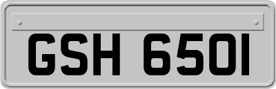 GSH6501