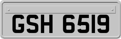 GSH6519