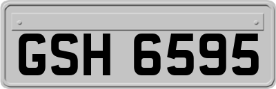 GSH6595