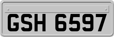 GSH6597