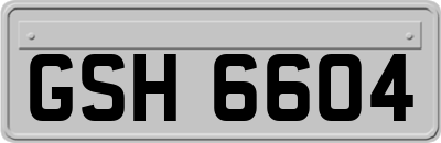 GSH6604