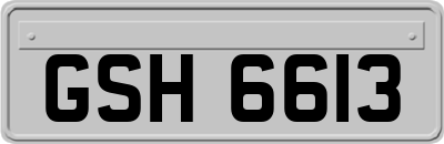GSH6613