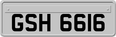 GSH6616