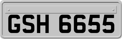 GSH6655