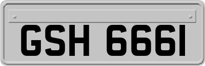 GSH6661