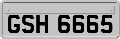 GSH6665
