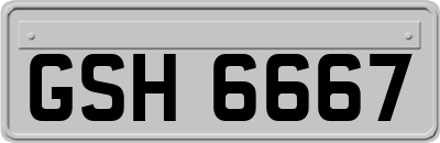 GSH6667
