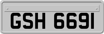 GSH6691