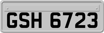 GSH6723