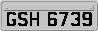 GSH6739