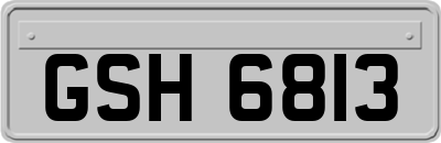 GSH6813