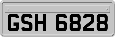 GSH6828