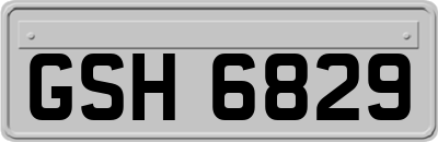 GSH6829