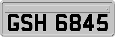 GSH6845