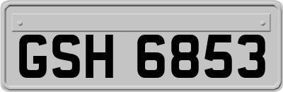 GSH6853