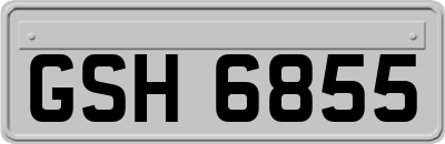 GSH6855