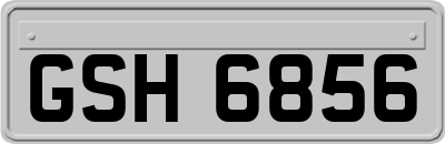 GSH6856