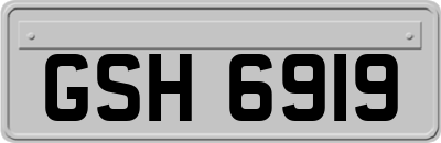 GSH6919