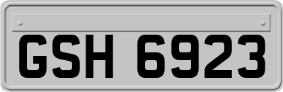 GSH6923