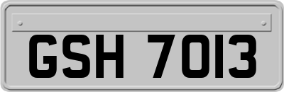 GSH7013