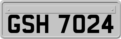 GSH7024