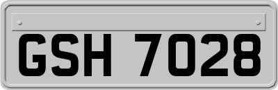 GSH7028