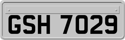 GSH7029