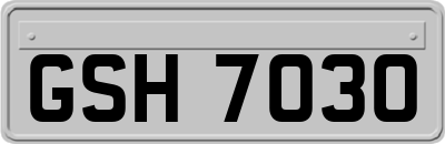 GSH7030