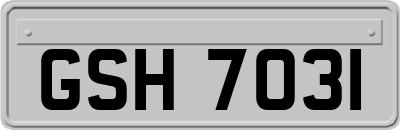 GSH7031