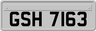 GSH7163