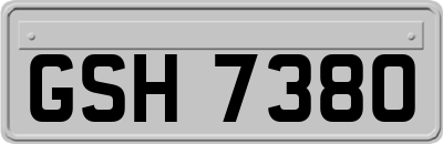 GSH7380