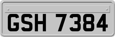 GSH7384