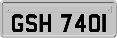 GSH7401