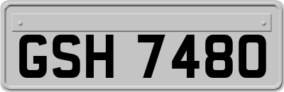 GSH7480