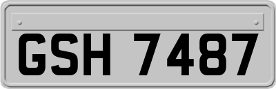 GSH7487