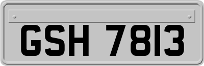 GSH7813